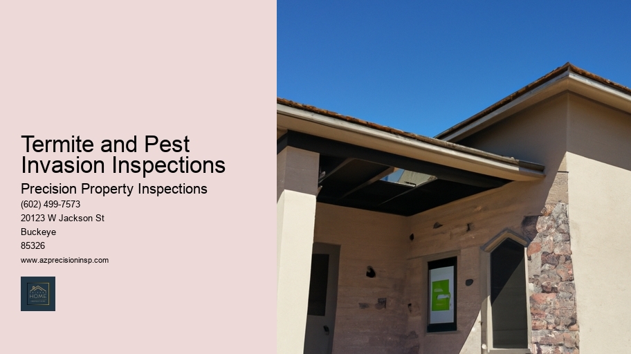 Termite and Pest Invasion Inspections